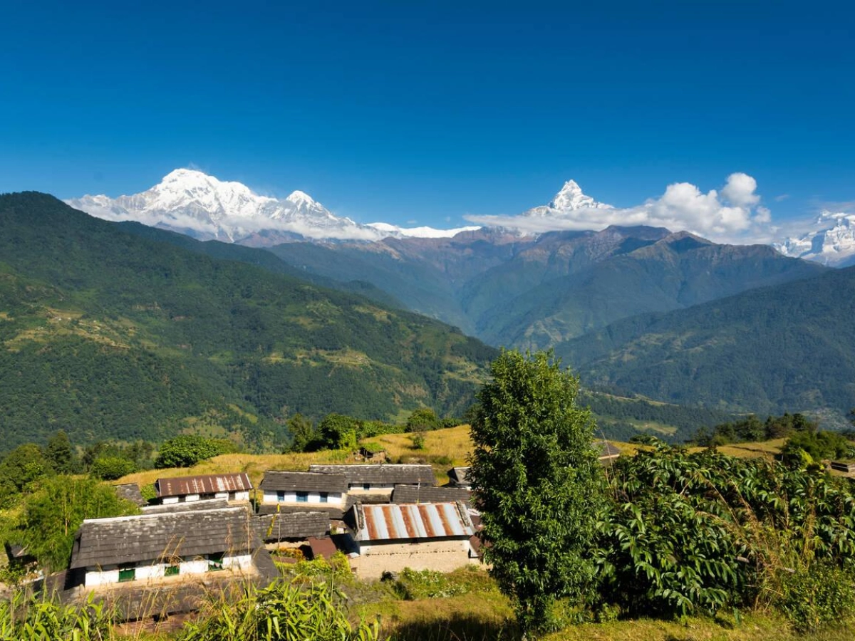 Dhampus Sarangkot Trek